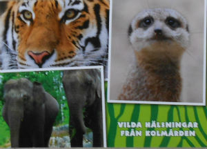 Cartes · Cartes postales Afrique