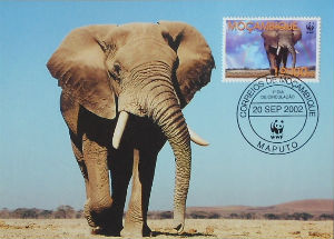 Cartes · Cartes postales Afrique