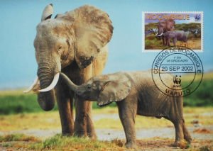 Cartes · Cartes postales Afrique