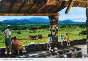 Cartes · Cartes postales Afrique