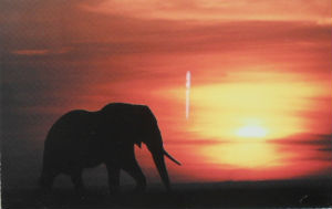 Cartes · Cartes postales Afrique
