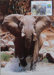 Cartes · Cartes postales Afrique