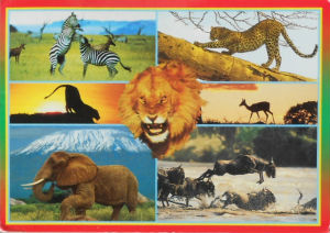 Cartes · Cartes postales Afrique