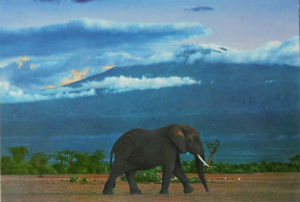 Cartes · Cartes postales Afrique