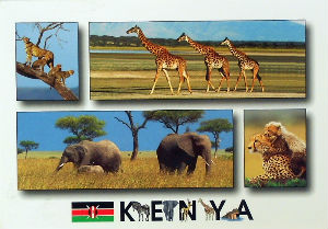 Cartes · Cartes postales Afrique