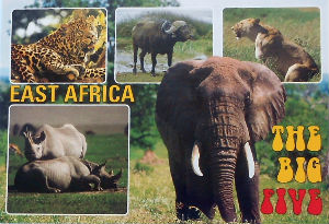 Cartes · Cartes postales Afrique