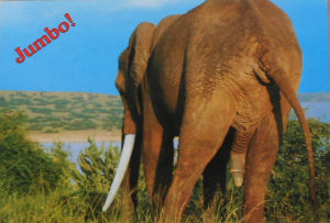 Cartes · Cartes postales Afrique