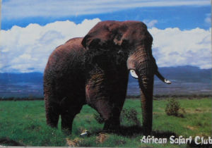Cartes · Cartes postales Afrique