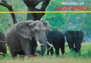 Cartes · Cartes postales Afrique