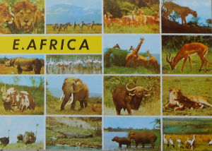 Cartes · Cartes postales Afrique