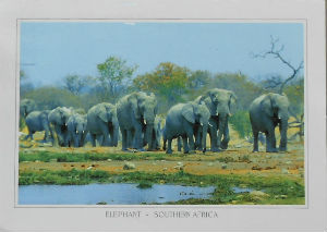 Cartes · Cartes postales Afrique