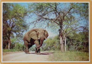 Cartes · Cartes postales Afrique