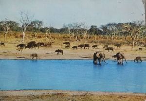 Cartes · Cartes postales Afrique