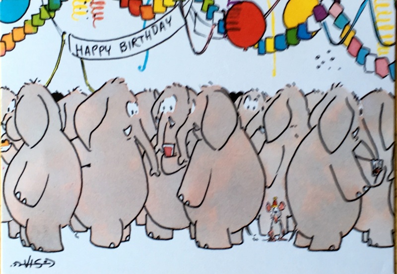 Cartes · 14 cartes hollandaises " Happy Birthday"