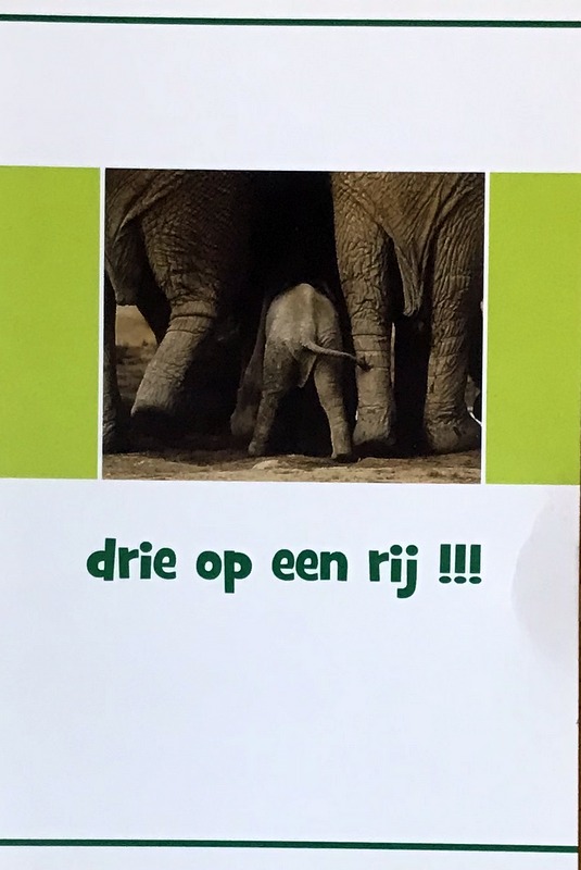 Cartes · Elephant Parade (Pays Bas)