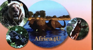 Cartes · Cartes DE Visites