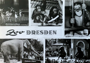 Cartes · Cartes postales Asie - Éléphants d'Asie