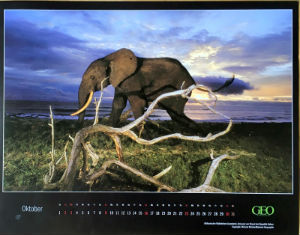 Calendriers · Pages DE Calendriers Muraux