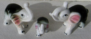 Diverses matières · Petits formats