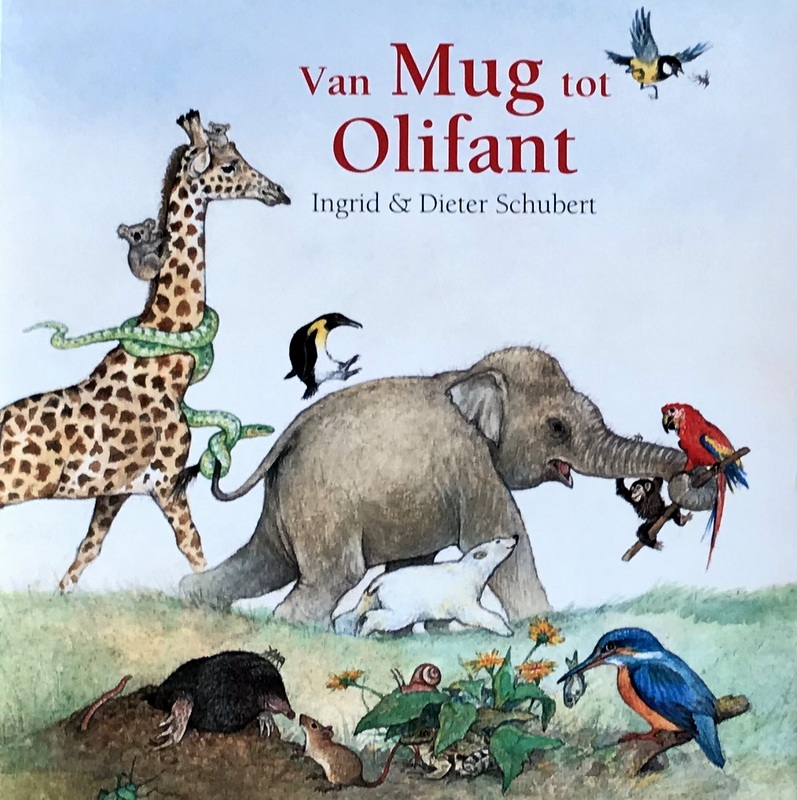 Boîtes & emballages