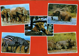 Cartes · Cartes postales Afrique