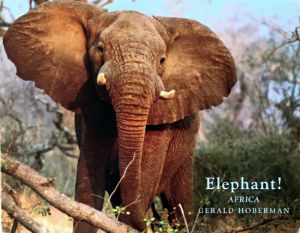 Cartes · Cartes postales Afrique