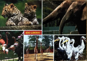 Cartes · Cartes postales Afrique