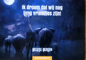 Cartes · Cartes postales Afrique