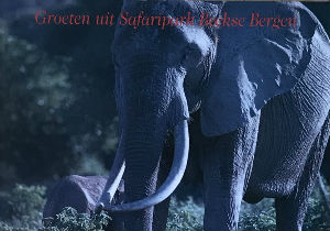 Cartes · Cartes postales Afrique