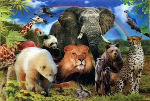 Cartes · Cartes postales Afrique
