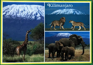 Cartes · Cartes postales Afrique