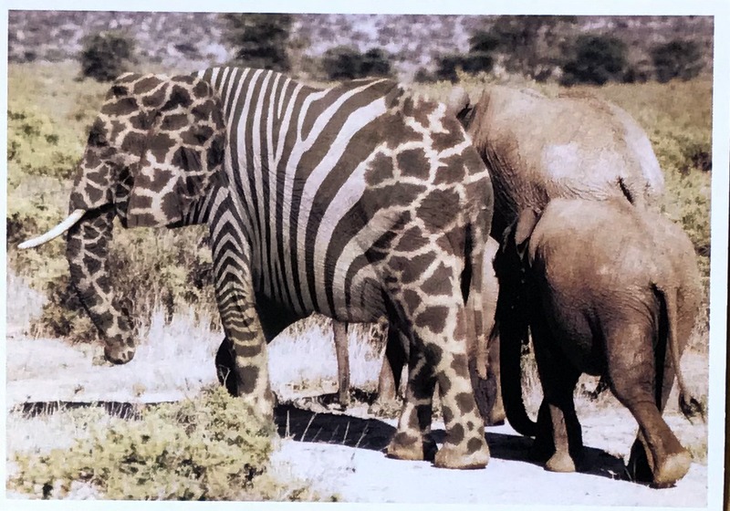 Cartes · Cartes postales Afrique