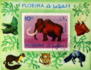 Timbres · Fujeira
