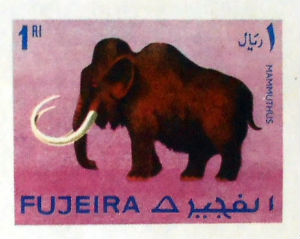 Timbres · Fujeira