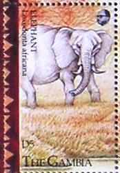 Timbres · Gambia