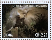Timbres