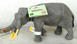 Jouets · Elephant ET Autres