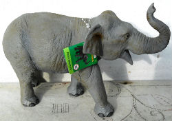 Jouets · Elephant ET Autres