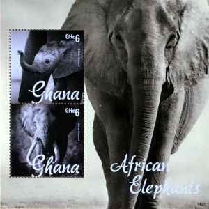 Timbres · Ghana