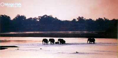 Cartes · Cartes postales Afrique