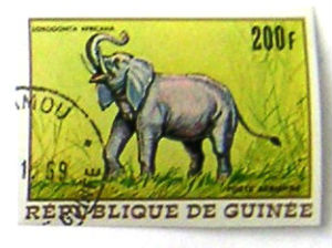 Timbres · Guinee