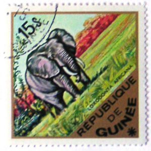 Timbres · Guinee