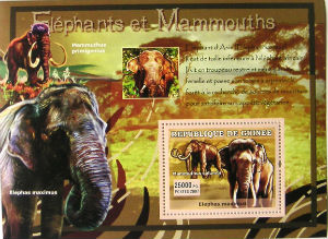 Timbres · Guinee