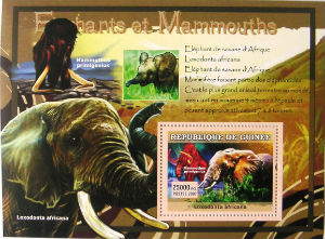 Timbres · Guinee