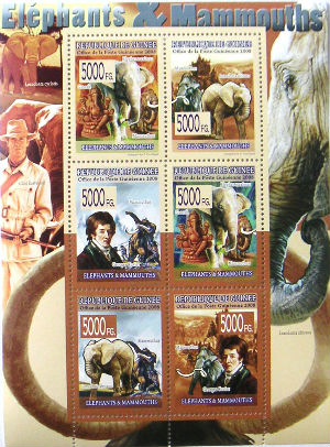 Timbres · Guinee