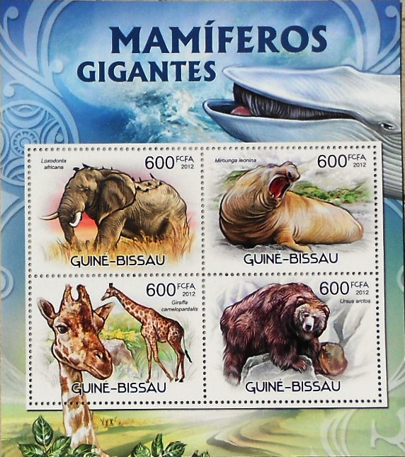 Timbres · Guniee Bissau