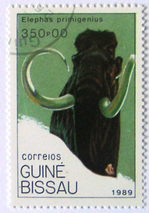 Timbres · Guniee Bissau