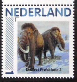 Timbres · Pays - BAS