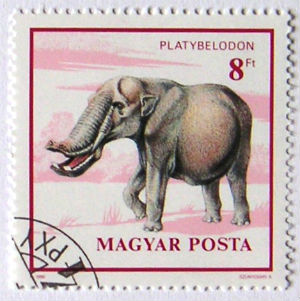Timbres · Hongrie