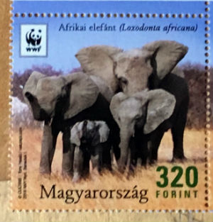 Timbres · Hongrie